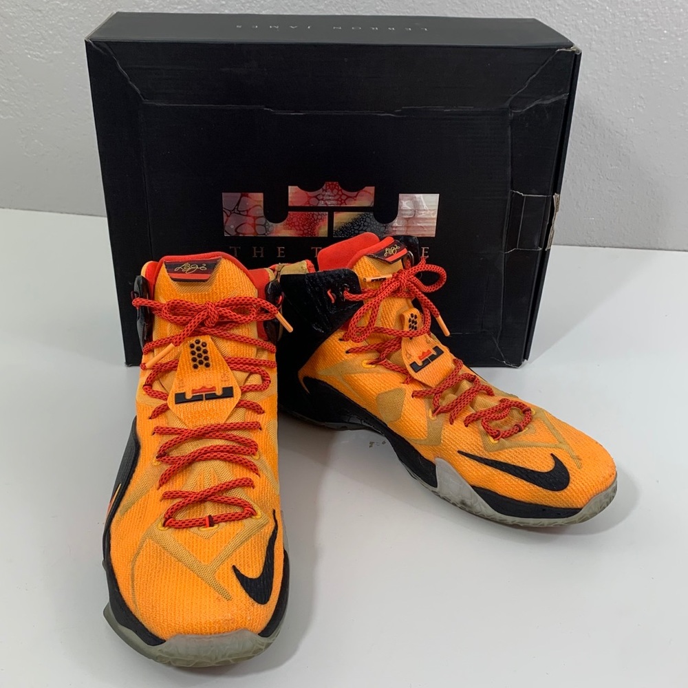 Lebron XII 684593 830